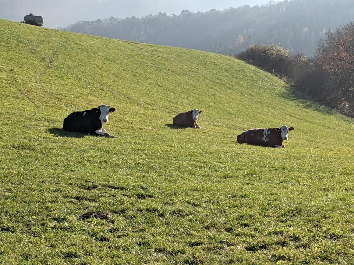 Ferienwohnungen Am Aeppelsberg Volkesfeld 외부 사진